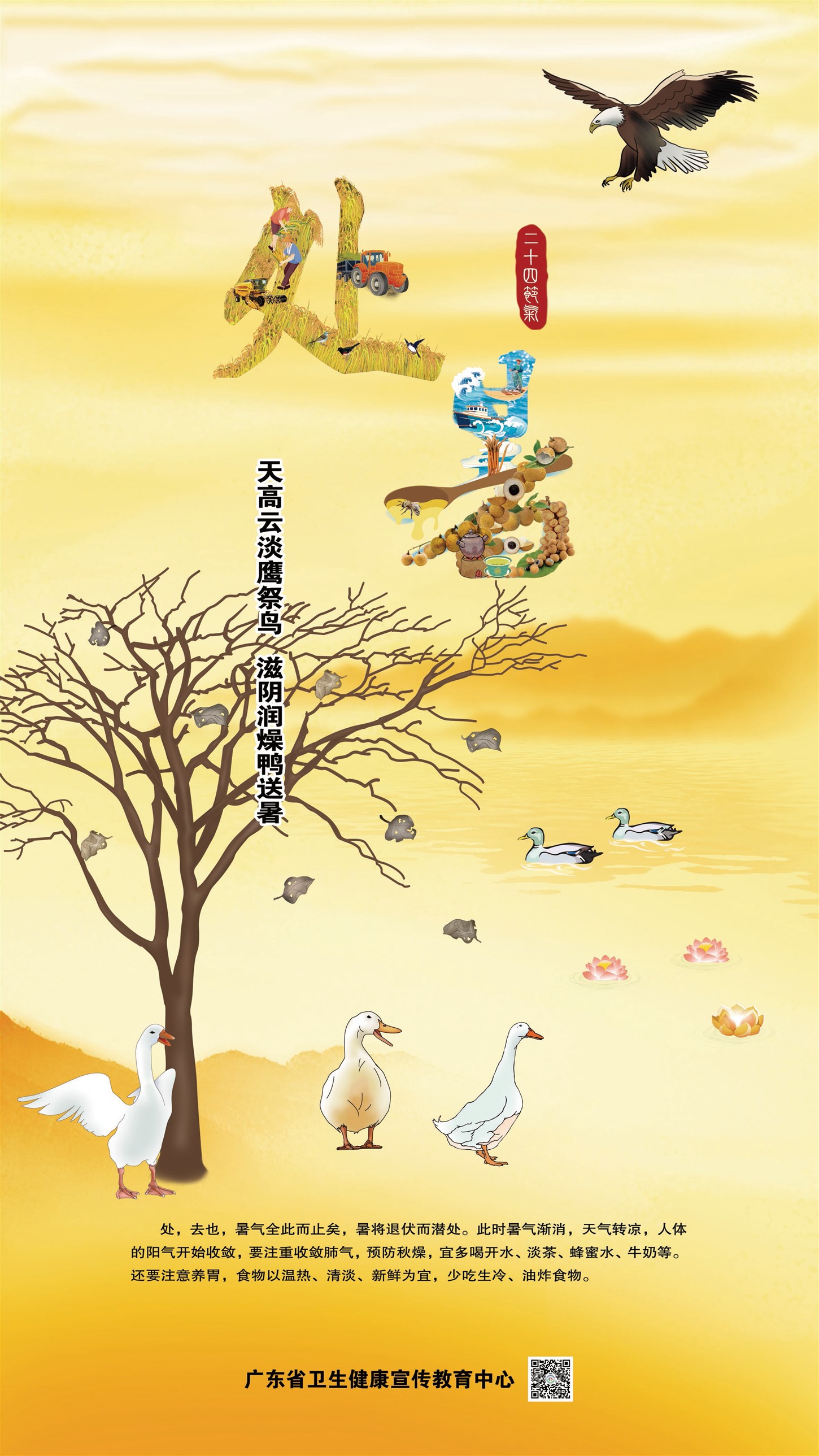 �����㶫����Ƶ�ӥ����  ��������Ѽ����