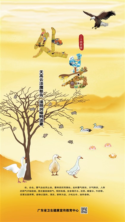 �����㶫����Ƶ�ӥ����  ��������Ѽ����