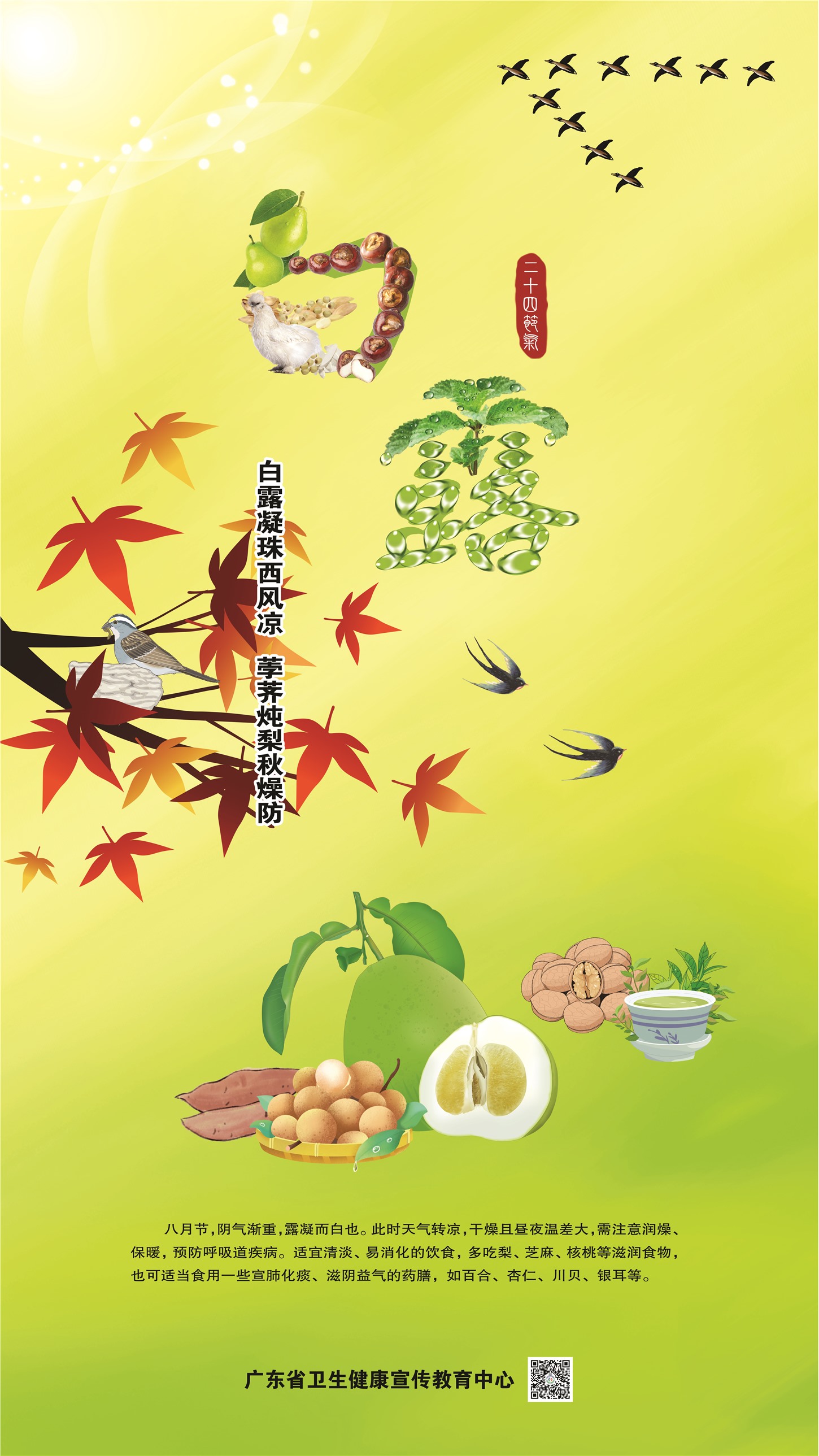 �����㶫��¶���������� Ɠ�����������